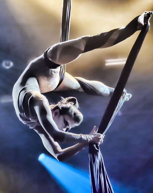 Wonder Arc performers